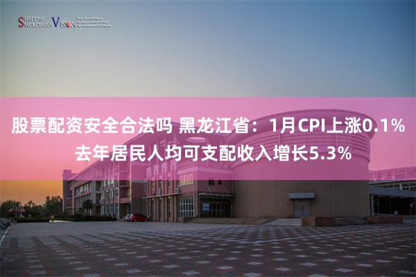 股票配资安全合法吗 黑龙江省：1月CPI上涨0.1%  去年居民人均可支配收入增长5.3%