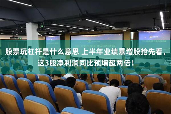 股票玩杠杆是什么意思 上半年业绩暴增股抢先看，这3股净利润同比预增超两倍！