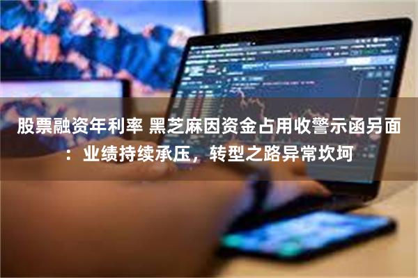 股票融资年利率 黑芝麻因资金占用收警示函另面：业绩持续承压，转型之路异常坎坷