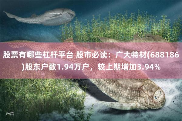 股票有哪些杠杆平台 股市必读：广大特材(688186)股东户数1.94万户，较上期增加3.94%