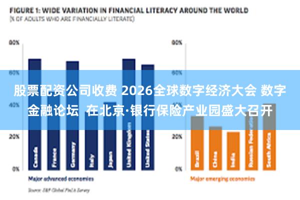 股票配资公司收费 2026全球数字经济大会 数字金融论坛  在北京·银行保险产业园盛大召开