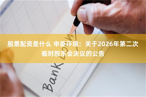 股票配资是什么 申菱环境：关于2026年第二次临时股东会决议的公告