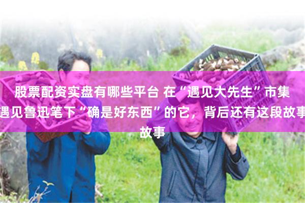 股票配资实盘有哪些平台 在“遇见大先生”市集遇见鲁迅笔下“确是好东西”的它，背后还有这段故事