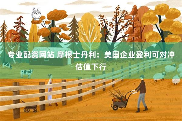 专业配资网站 摩根士丹利：美国企业盈利可对冲估值下行
