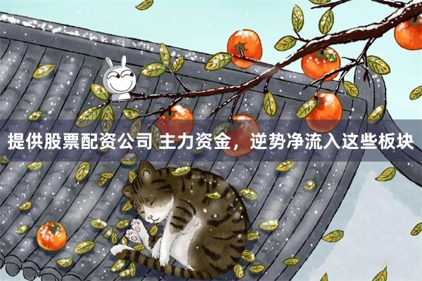 提供股票配资公司 主力资金，逆势净流入这些板块